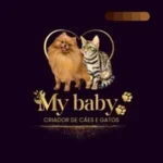 Canil My Baby Perfil reserva